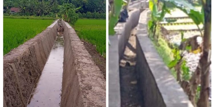 Enam Segmen Irigasi Tersier di Desa Sinar Tanjung Hampir Selesai, Dorong Produktivitas Pertanian