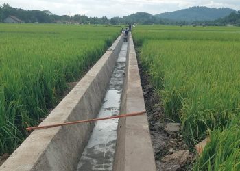 Program Inpres Tersier di Desa Sinartanjung Rampung, Warga Petani Sampaikan Terima Kasih kepada BBWS Citanduy