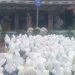 Peringatan Isra Mi’raj 1447 Hijriyah SMPN 1 Cihaurbeuti Ciamis Khidmat