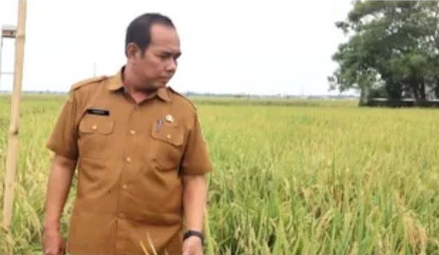 Kepala DPKPP Karawang Apresiasi Jerih Payah Petani Sebagai Ujung Tombak Swasembada Pangan