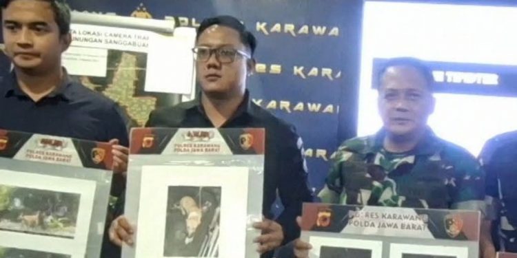 Polres Karawang Amankan Lima Terduga Pemburu Macan Tutul Jawa Asal Gunung Sanggabuana