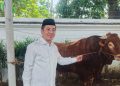 Pemkab Karawang Sembelih Hewan Qurban Sapi Berbobot 1,2 Ton