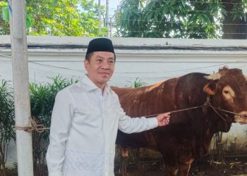 Pemkab Karawang Sembelih Hewan Qurban Sapi Berbobot 1,2 Ton