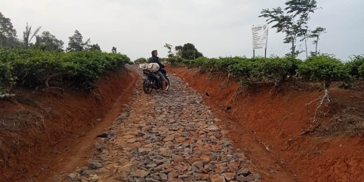 Program Kegiatan Pengerasan Jalan Poros Desa Cikuya Antara Dusun Datarnangka – Dusun Pancatengah TA.2025 Diduga Mangkrak